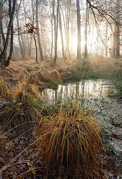 Hilvarenbeek water