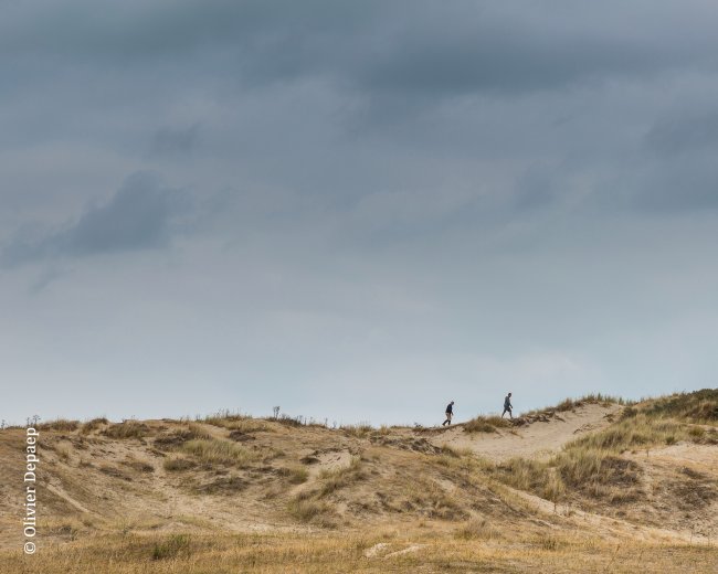 Wandelaars Zwinduinen