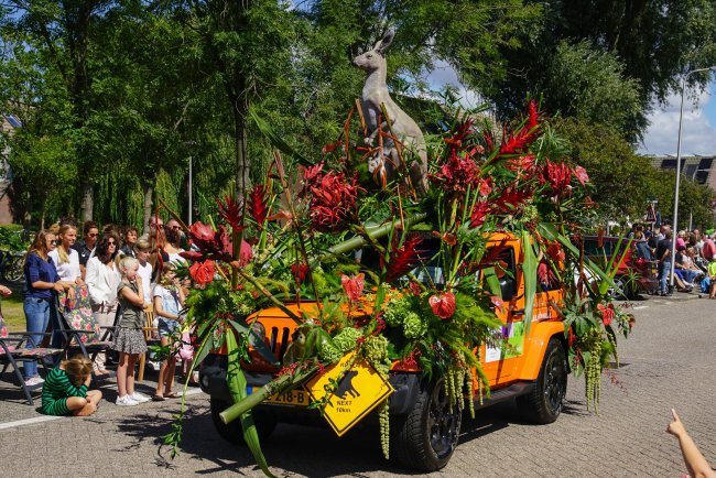 Flower Parade Rijnsburg