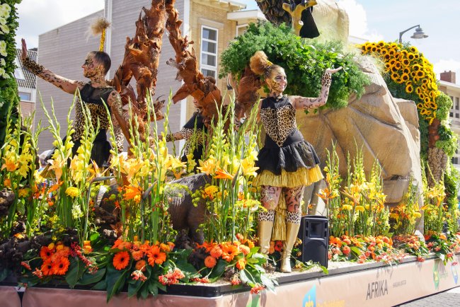 Flower Parade Rijnsburg