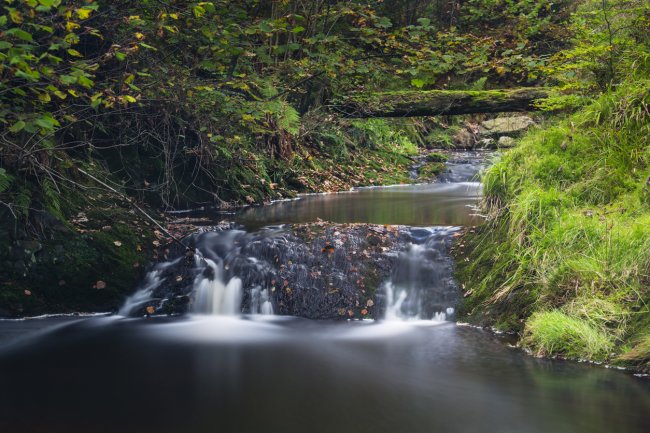 Ardennen