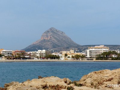 Javea