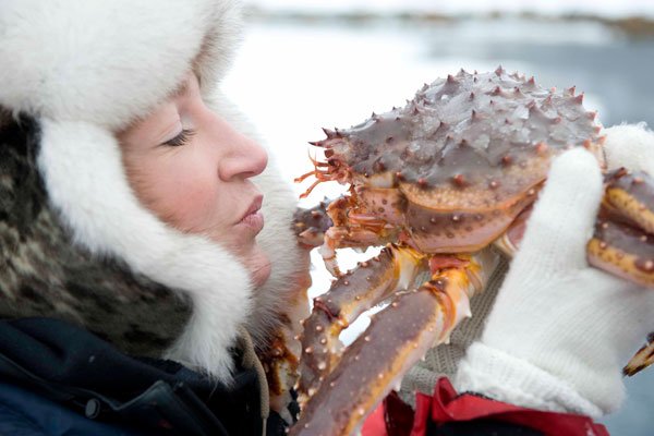 Koningskrab - Terje Rakke, Nordic Life, visitnorway.com