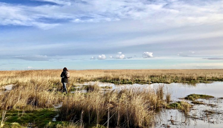 Wandelen langs het water