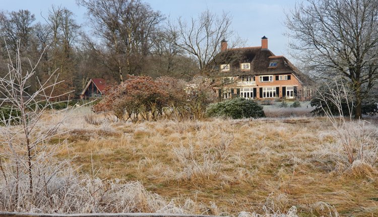 Treekerduinen