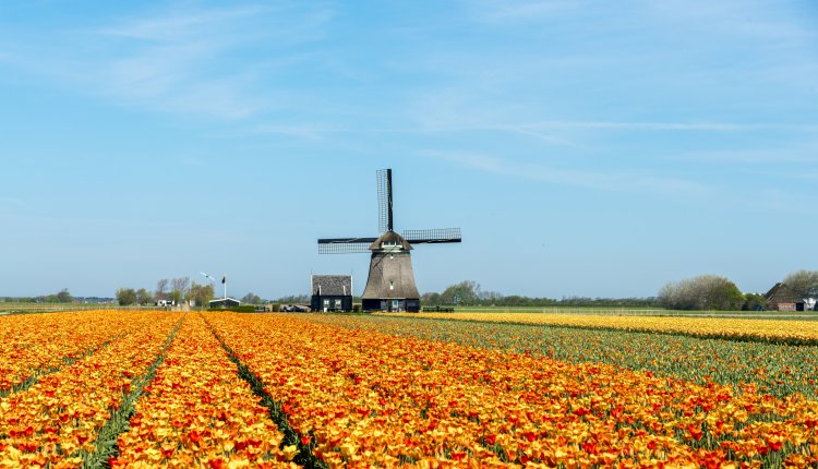 Fietsen door Schagen, een mooie molen