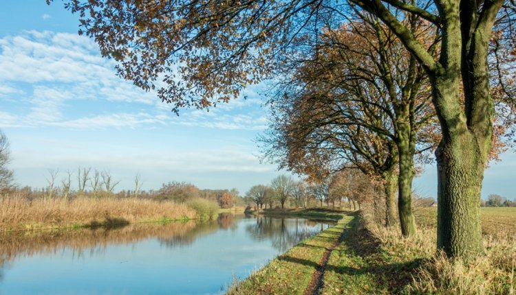 de Dommel