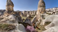 Cappadocie