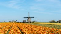 Fietsen door Schagen, een mooie molen