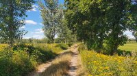 Wandelroute bij de Mortel