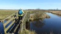 wandelaar op een brug