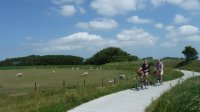 fietsen op Texel